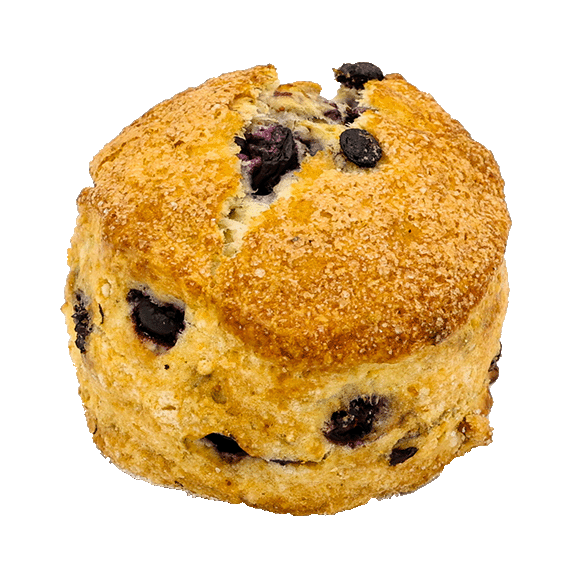 Blueberry Scone