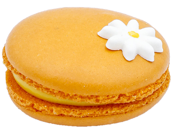 Tropical Mango & Passionfruit