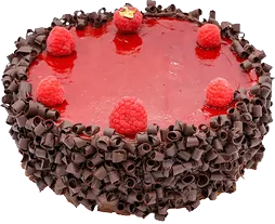 Chocolate Raspberry Torte