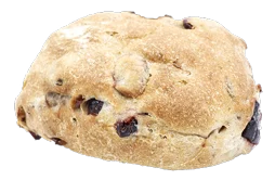 Cranberry Walnut Sourdough