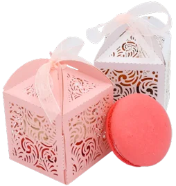 Favor Boxes with 2 Macarons